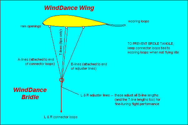 Wing & bridle details, side view
